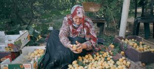 Sécurité alimentaire