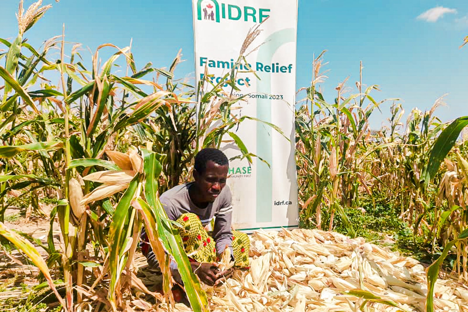 A farmer in north-central Zambia stands proudly in a lush field, showcasing dedication to agriculture and sustainable practices.