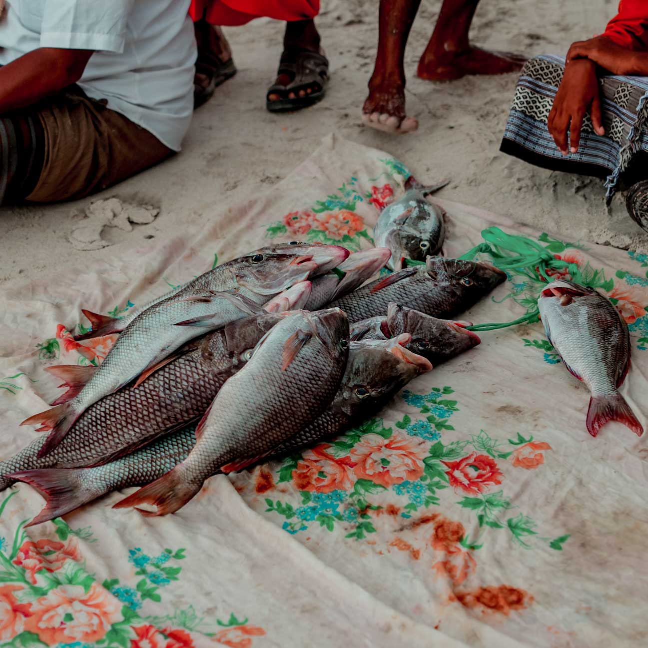 Several freshly caught fish are displayed on a floral-patterned cloth laid on sandy ground, with people sitting or kneeling nearby.